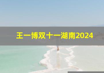 王一博双十一湖南2024