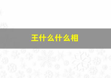 王什么什么相