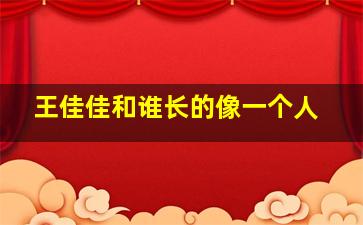 王佳佳和谁长的像一个人