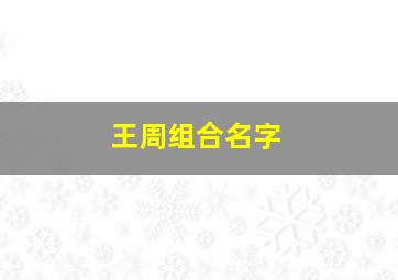 王周组合名字