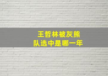 王哲林被灰熊队选中是哪一年