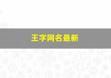 王字网名最新