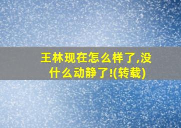 王林现在怎么样了,没什么动静了!(转载)