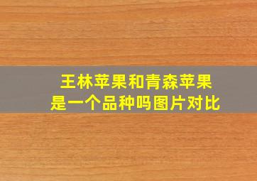 王林苹果和青森苹果是一个品种吗图片对比