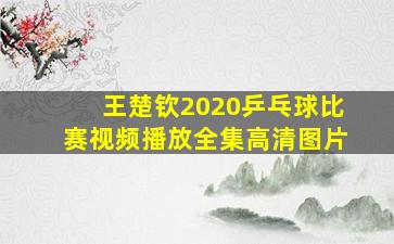 王楚钦2020乒乓球比赛视频播放全集高清图片