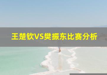 王楚钦VS樊振东比赛分析