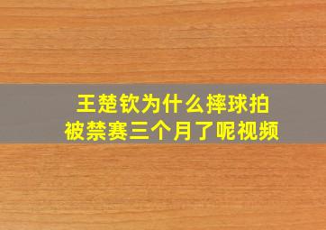 王楚钦为什么摔球拍被禁赛三个月了呢视频