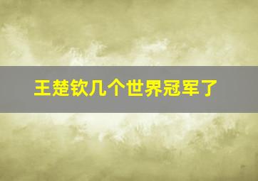 王楚钦几个世界冠军了