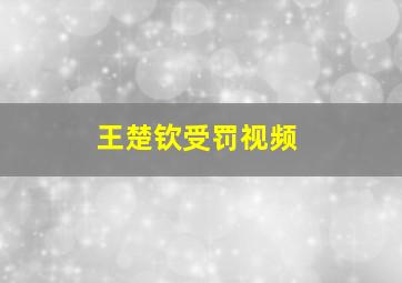 王楚钦受罚视频