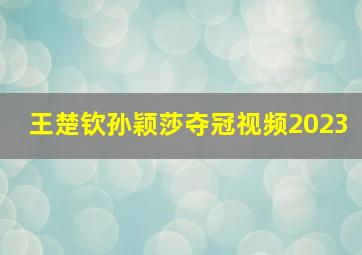 王楚钦孙颖莎夺冠视频2023