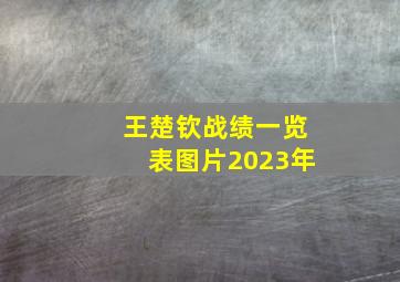 王楚钦战绩一览表图片2023年