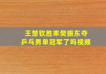 王楚钦胜率樊振东夺乒乓男单冠军了吗视频