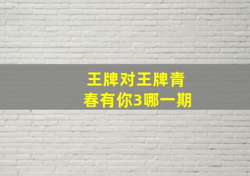 王牌对王牌青春有你3哪一期