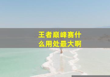 王者巅峰赛什么用处最大啊