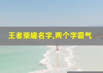 王者荣耀名字,两个字霸气