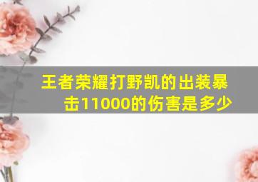 王者荣耀打野凯的出装暴击11000的伤害是多少