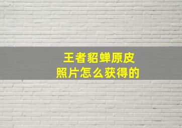 王者貂蝉原皮照片怎么获得的