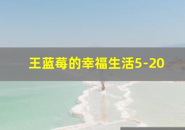 王蓝莓的幸福生活5-20