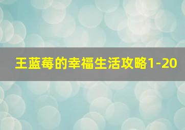 王蓝莓的幸福生活攻略1-20