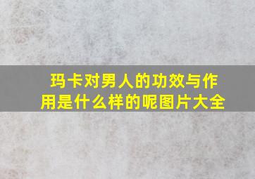 玛卡对男人的功效与作用是什么样的呢图片大全