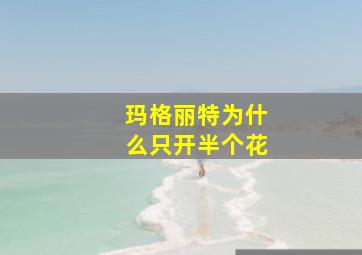 玛格丽特为什么只开半个花