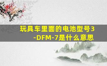 玩具车里面的电池型号3-DFM-7是什么意思