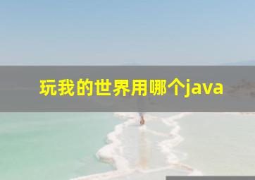 玩我的世界用哪个java