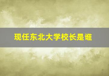 现任东北大学校长是谁