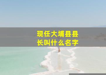 现任大埔县县长叫什么名字