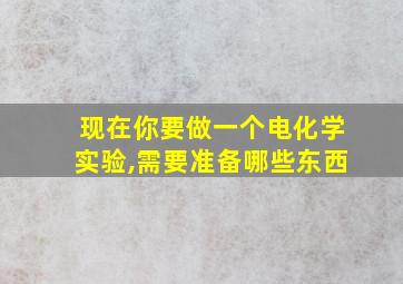 现在你要做一个电化学实验,需要准备哪些东西