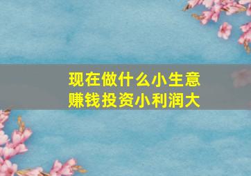 现在做什么小生意赚钱投资小利润大