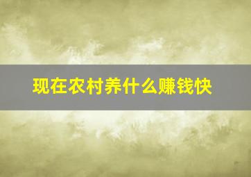 现在农村养什么赚钱快