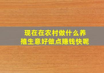 现在在农村做什么养殖生意好做点赚钱快呢