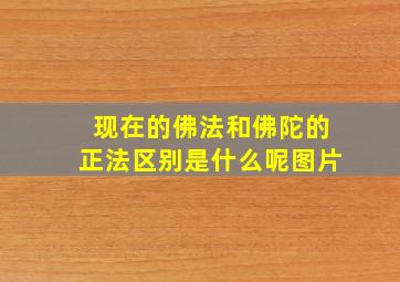 现在的佛法和佛陀的正法区别是什么呢图片