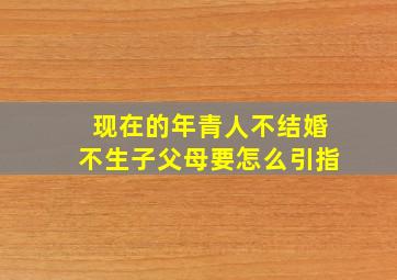 现在的年青人不结婚不生子父母要怎么引指