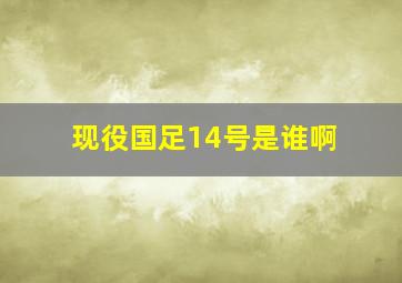 现役国足14号是谁啊