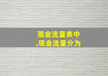 现金流量表中,现金流量分为