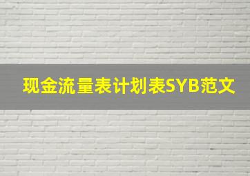 现金流量表计划表SYB范文