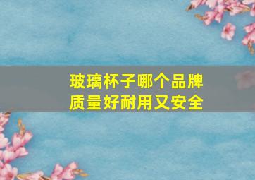 玻璃杯子哪个品牌质量好耐用又安全