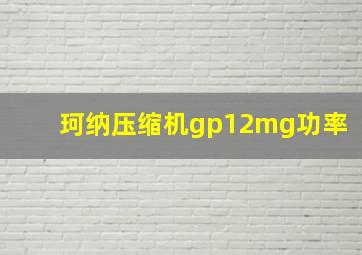 珂纳压缩机gp12mg功率