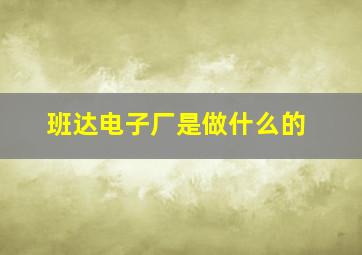 班达电子厂是做什么的