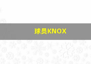 球员KNOX