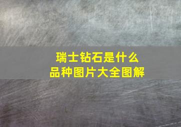 瑞士钻石是什么品种图片大全图解