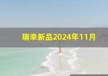 瑞幸新品2024年11月