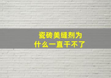 瓷砖美缝剂为什么一直干不了