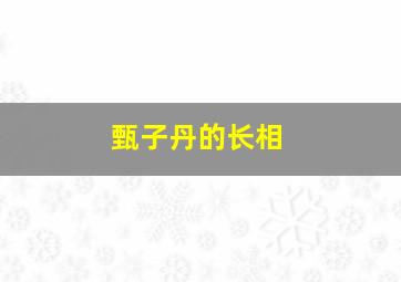 甄子丹的长相