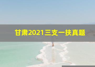 甘肃2021三支一扶真题