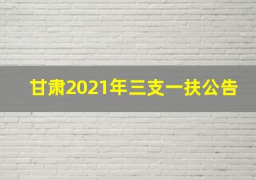 甘肃2021年三支一扶公告