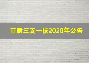 甘肃三支一扶2020年公告