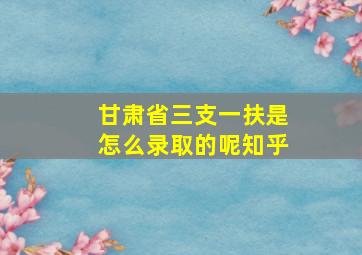 甘肃省三支一扶是怎么录取的呢知乎